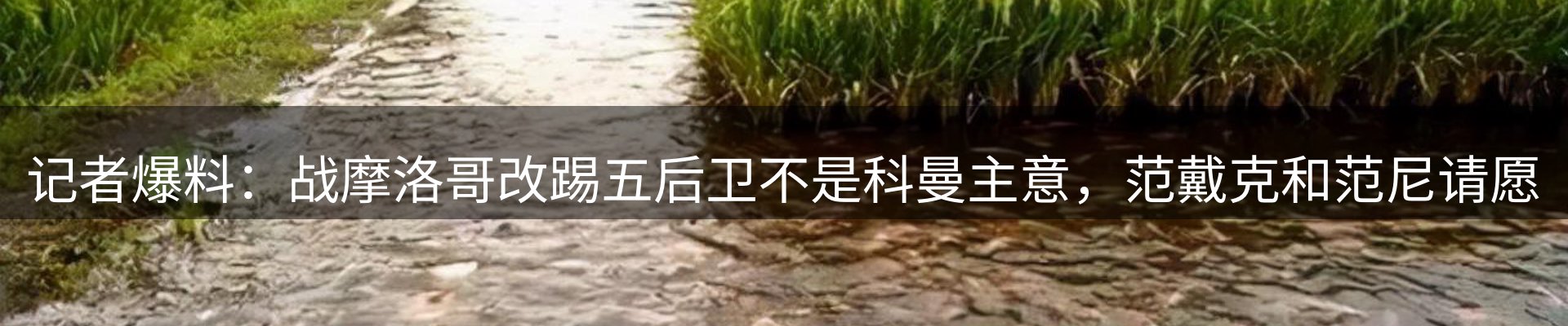 资讯展望